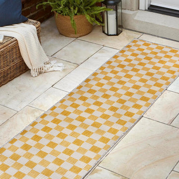 Aimee Traditional Cottage Checkerboard Indoor/Outdoor Area Rug